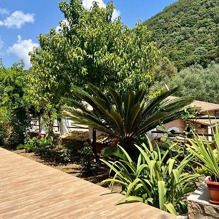 Afrodite'S Loft & Studios Paleokastritsa Exterior photo