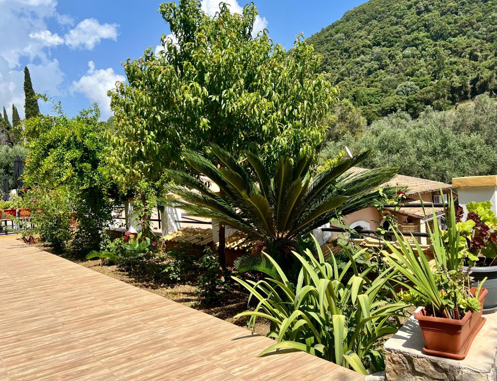 Afrodite'S Loft & Studios Paleokastritsa Exterior photo